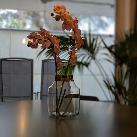 Apartment P23